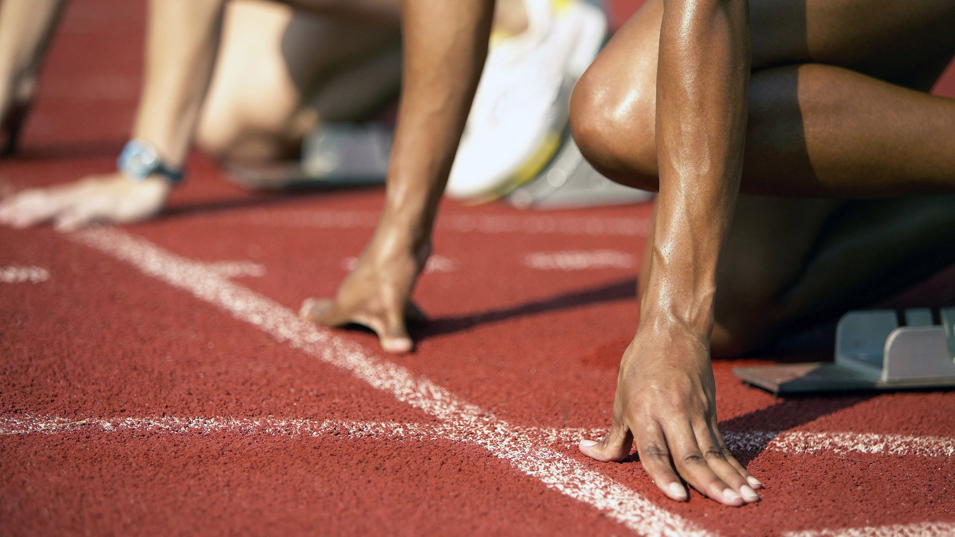 贝林厄姆全程高能输出,突尼斯踏平埃及,当足球成为地缘政治的隐喻